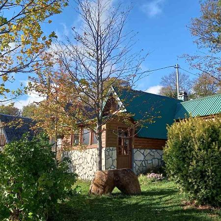 Family Farm Bungalow Zabljak  Bagian luar foto